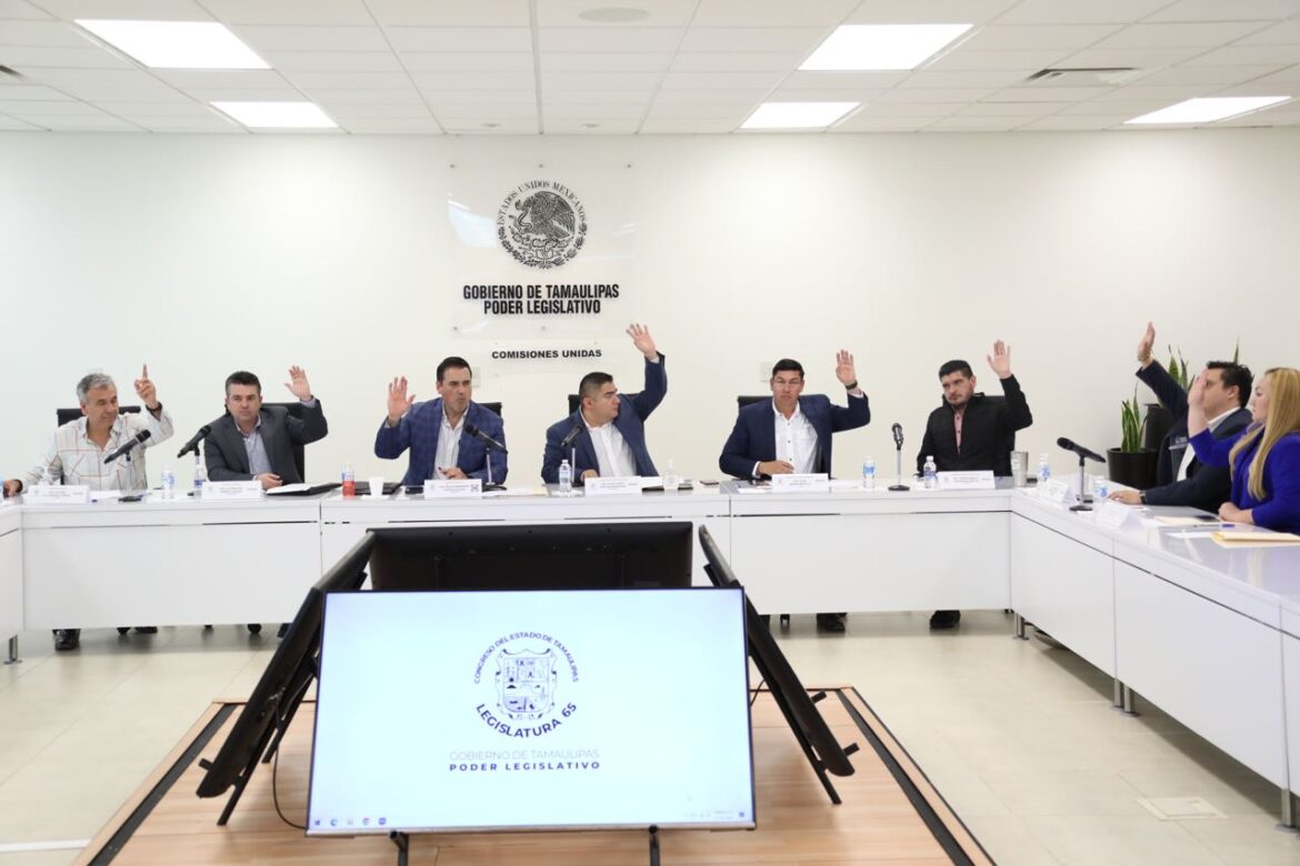 Incorporarán “ponchallantas” al catálogo de armas prohibidas en Tamaulipas