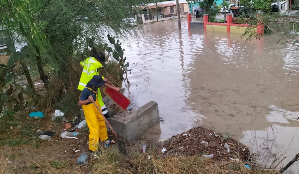 Realiza PC labores de desazolve en Nuevo Progreso