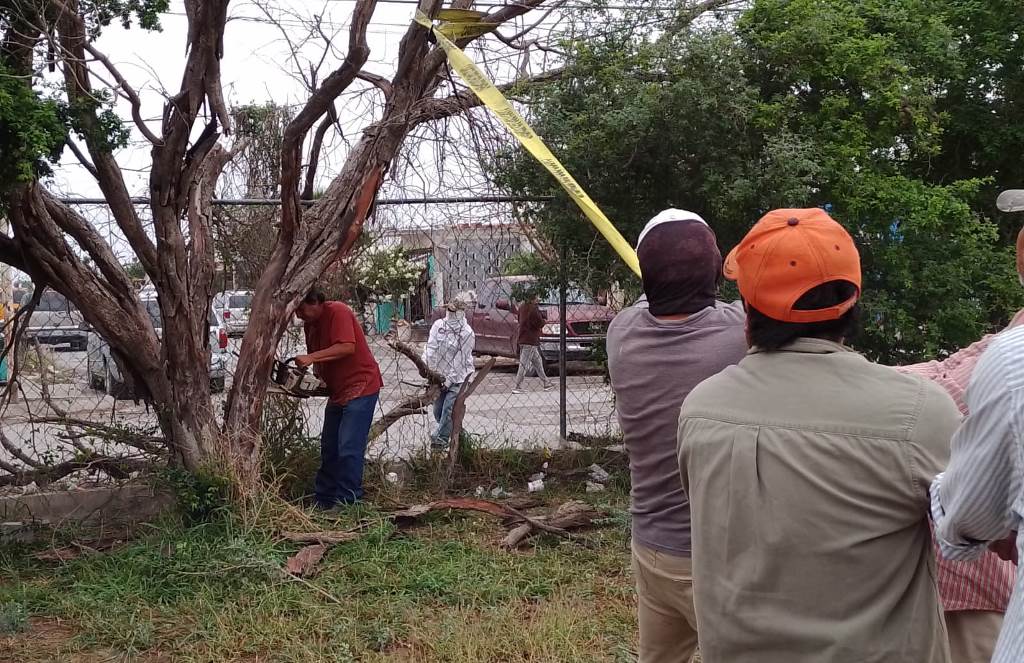 Retira Municipio riesgos de Secundaria 92 y refuerza reforestación