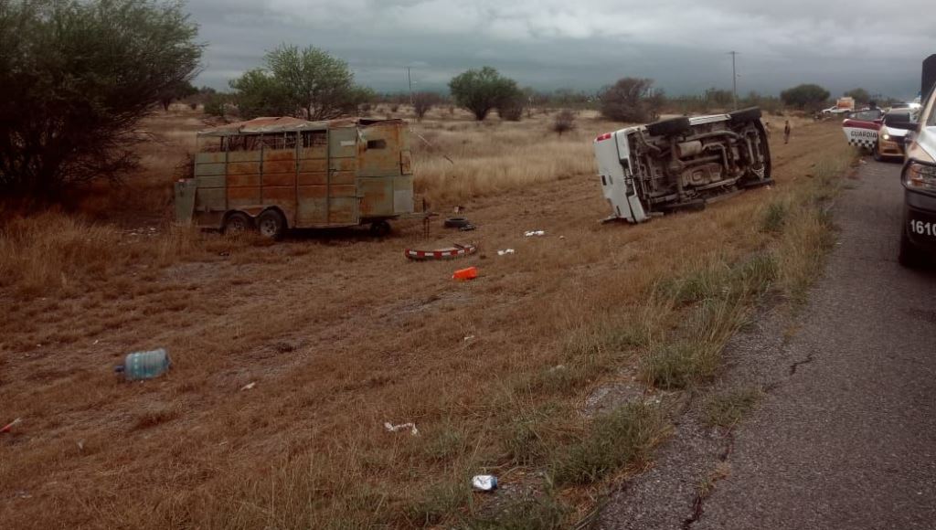 Guardia Estatal atiende volcadura de vehículo que transportaba caballos