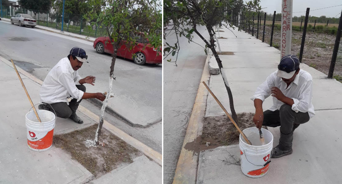 Saldo blanco en operativo municipal de Protección Civil por Semana Santa; Acciones de presencia y prevención dieron frutos