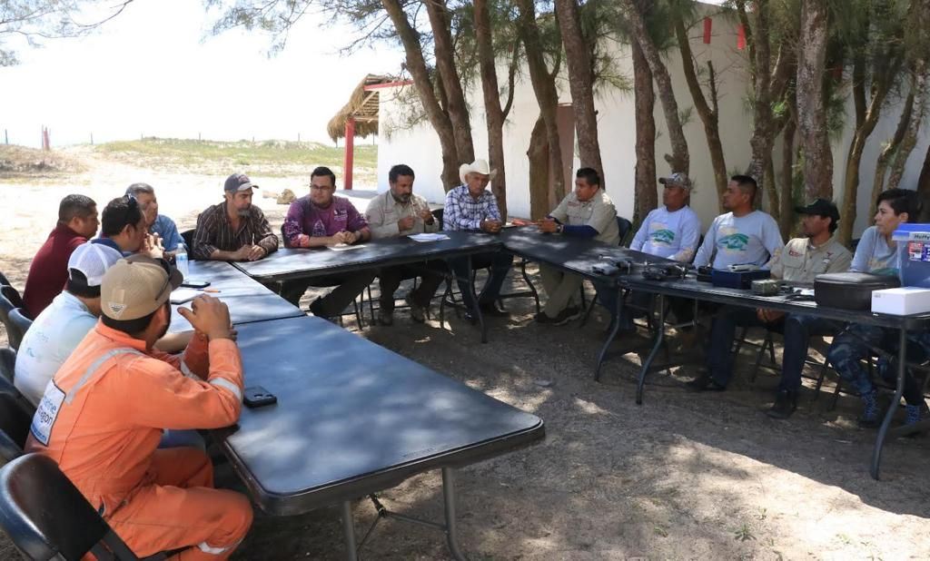 Trabajan autoridades de Tamaulipas con el Gladys Porter Zoo para la protección de tortuga lora