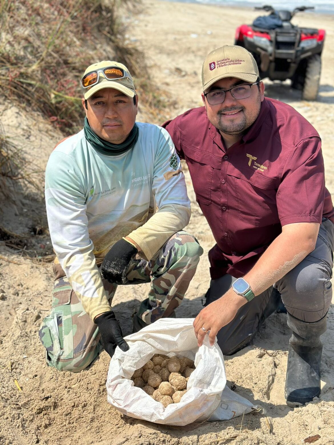 Fructifica trabajo del Gobierno de Tamaulipas para la conservación de la tortuga lora