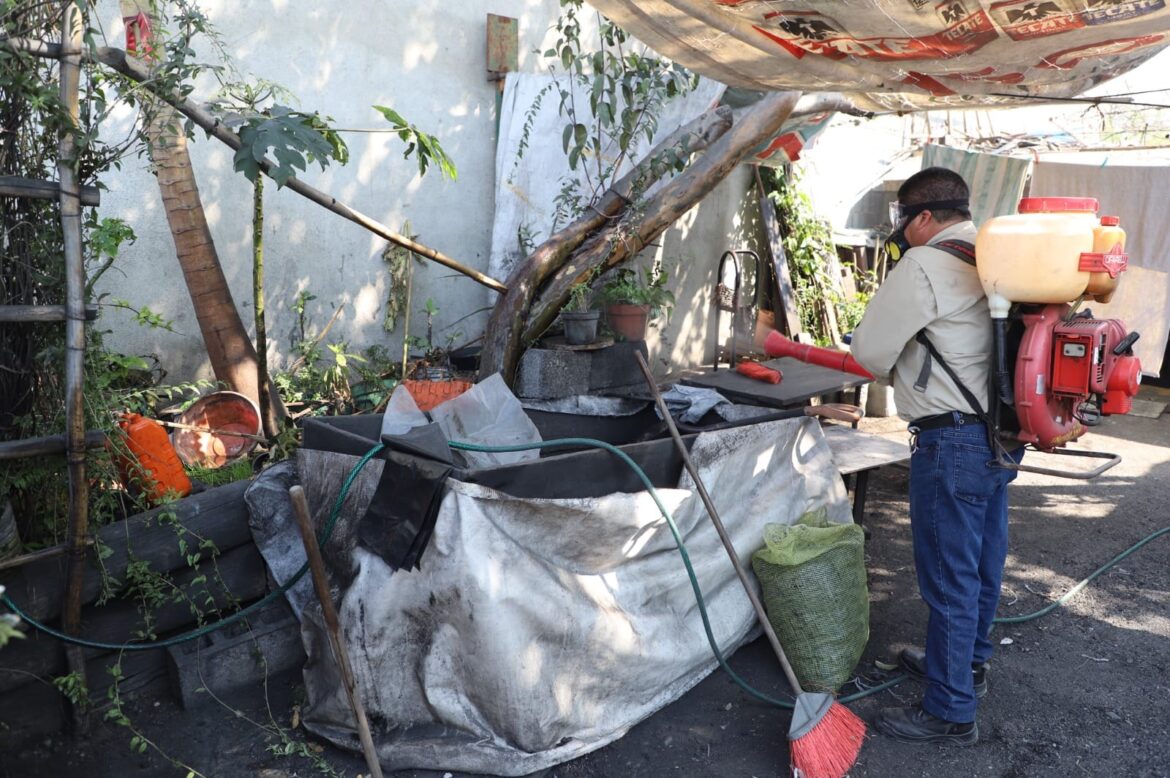 Exhorta Secretaría de Salud a la población a reforzar medidas de prevención contra el dengue