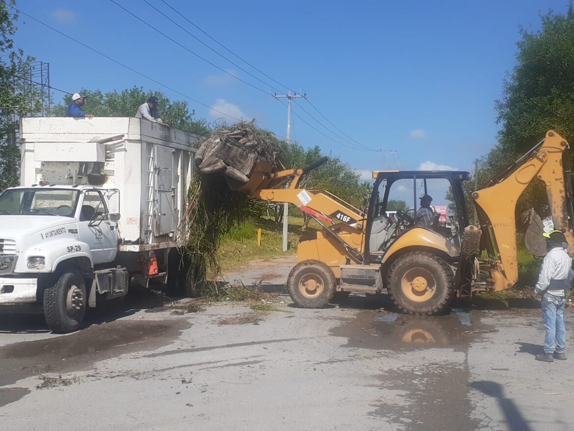 RECOLECTA SERVICIOS PRIMARIOS, BRAZOS Y RAMAS DE ÁRBOLES DERRIBADAS POR LLUVIAS Y TROMBAS EN LA CUAUHTÉMOC