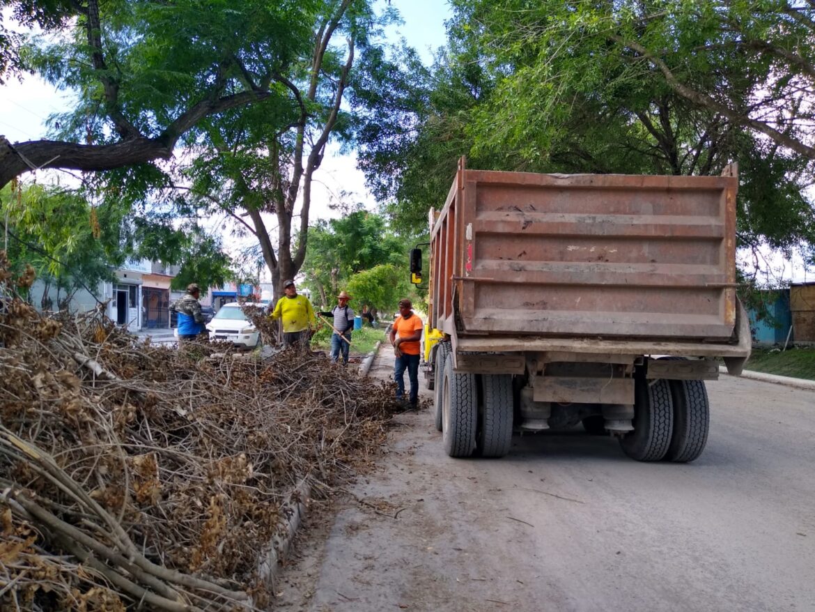 PREPARAN AVENIDA RÍO BRAVO PARA REHABILITACIÓN