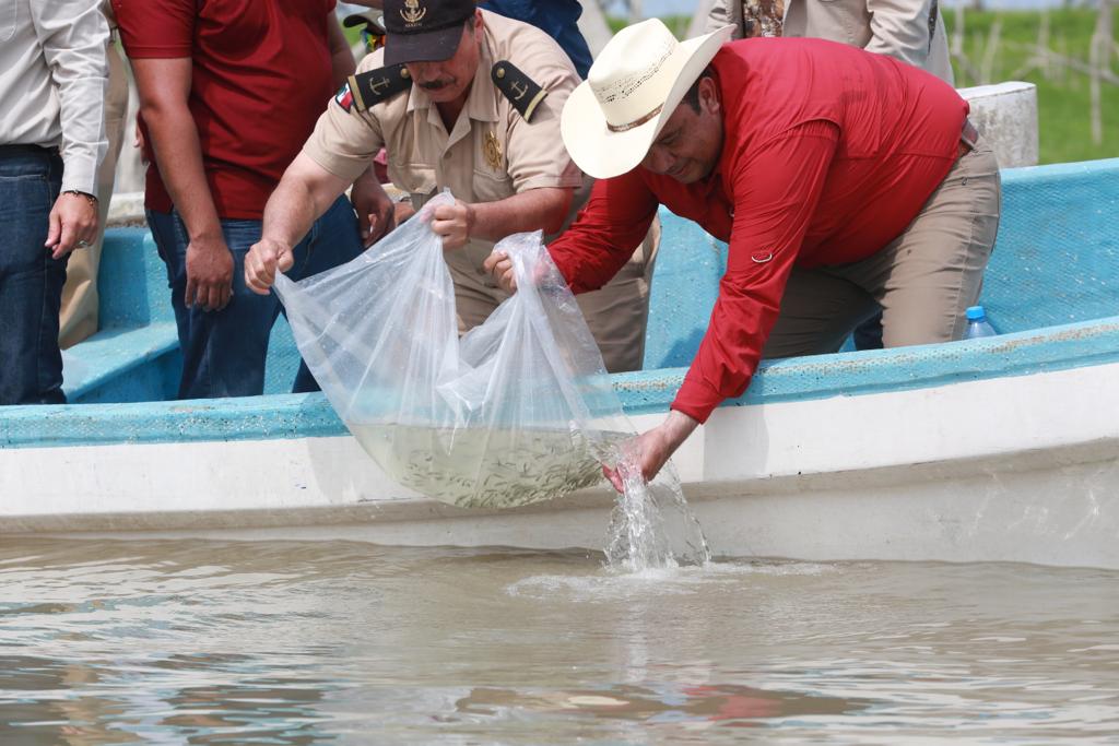 Inicia repoblamiento de lobina negra en la Presa «Vicente Guerrero»