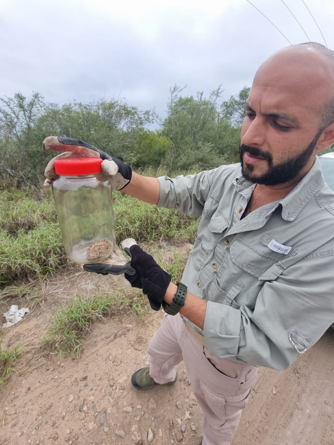 Atiende Unidad de Vigilancia Ambiental denuncia ciudadana