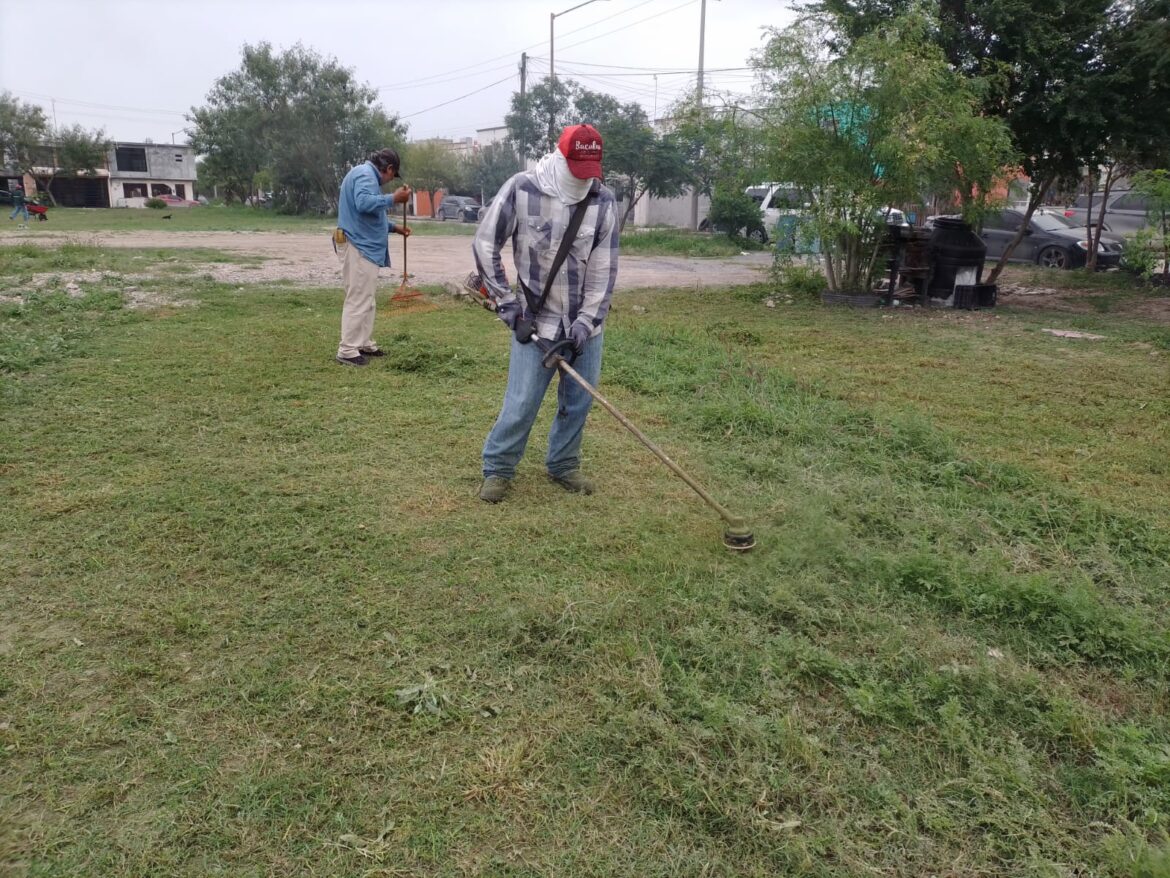 DA GOBIERNO DE RÍO BRAVO MANTENIMIENTO A ÁREAS VERDES EN BRISAS DEL CAMPO