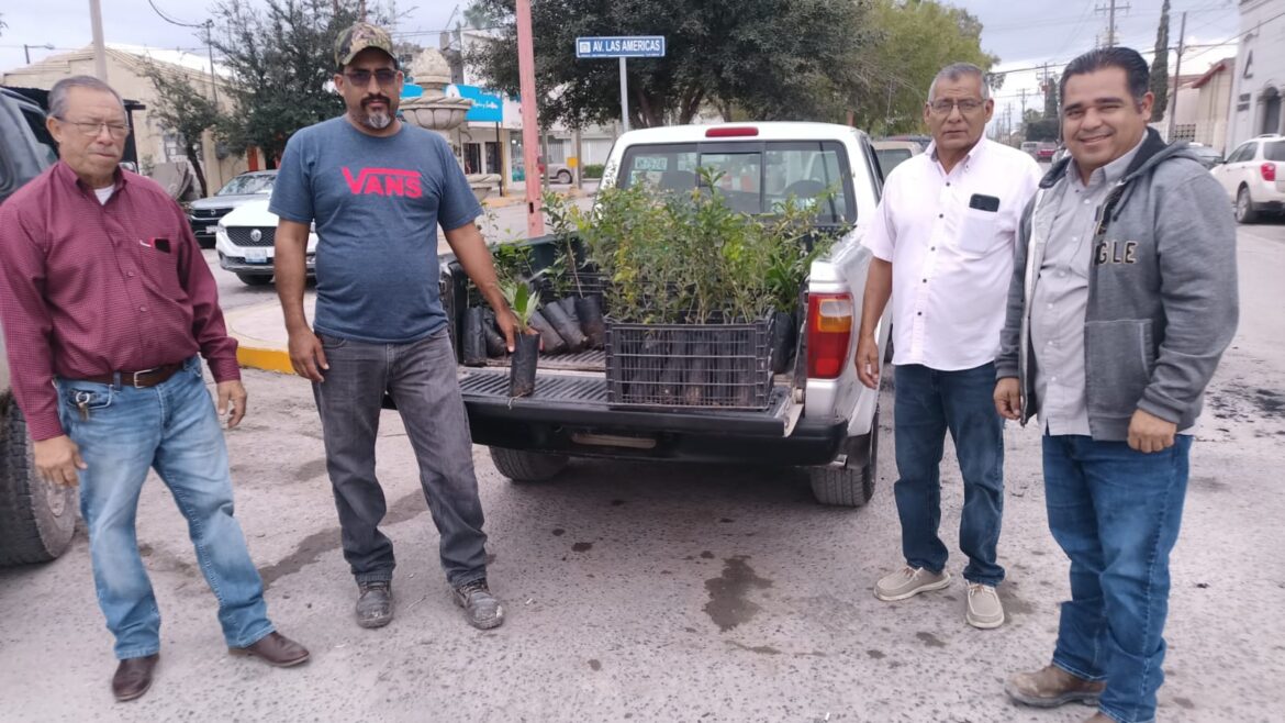 GOBIERNO DE RÍO BRAVO DESTINA ÁRBOLES AL EJIDO LA POSTA PARA REFORESTAR Y REVERTIR SEQUÍA