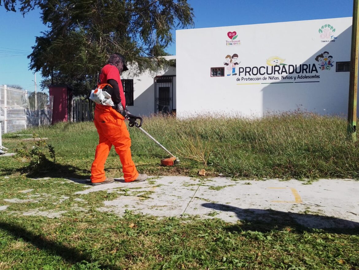 CONTINÚA PARTICIPACIÓN CIUDADANA CON LIMPIEZA DE ÁREAS VERDES, TOCA TURNO A LA MORELOS