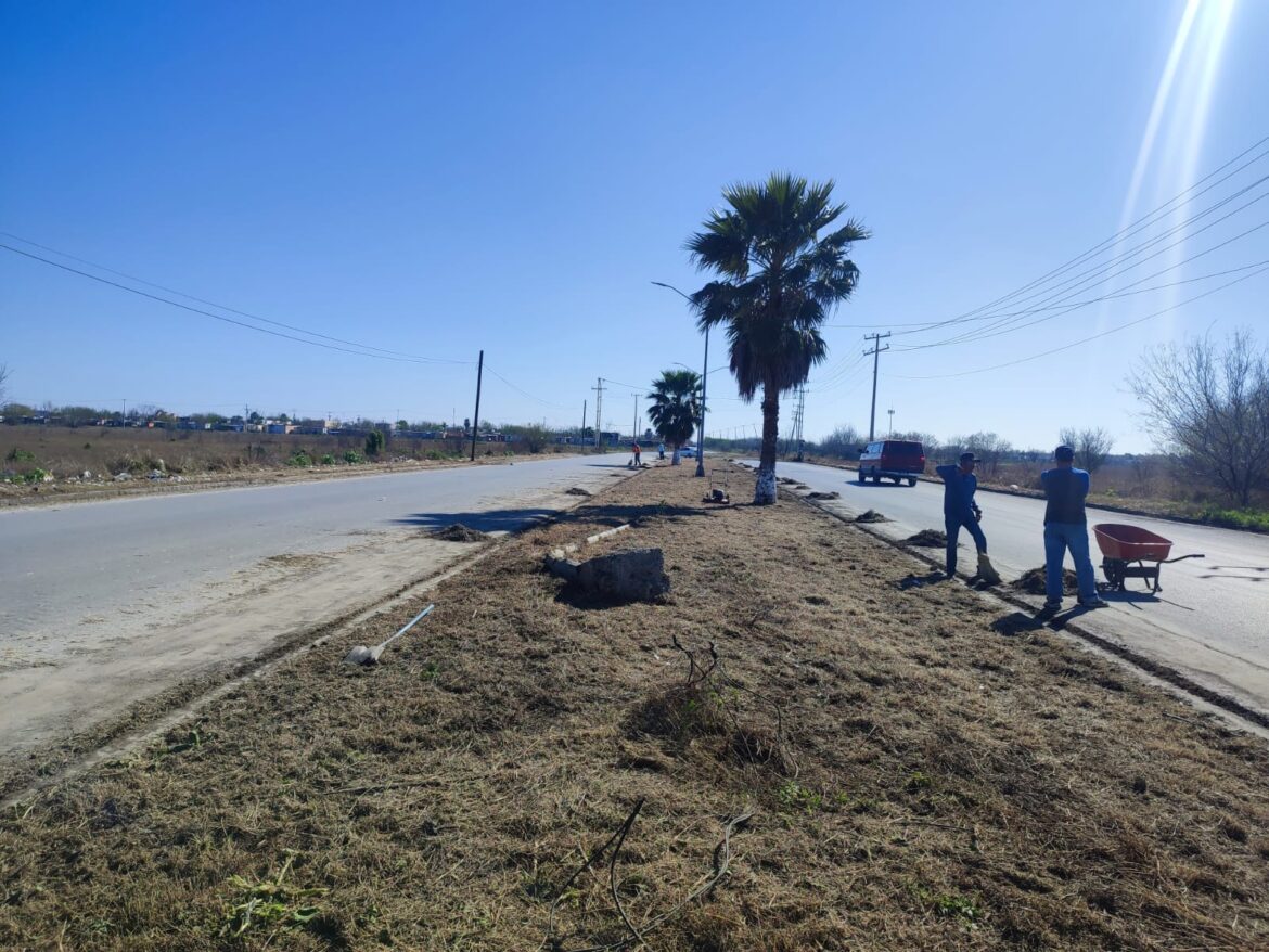 TRABAJA AYUNTAMIENTO EN RECUPERAR CAMELLONES Y ACERAS EN ACCESO A MISIONES