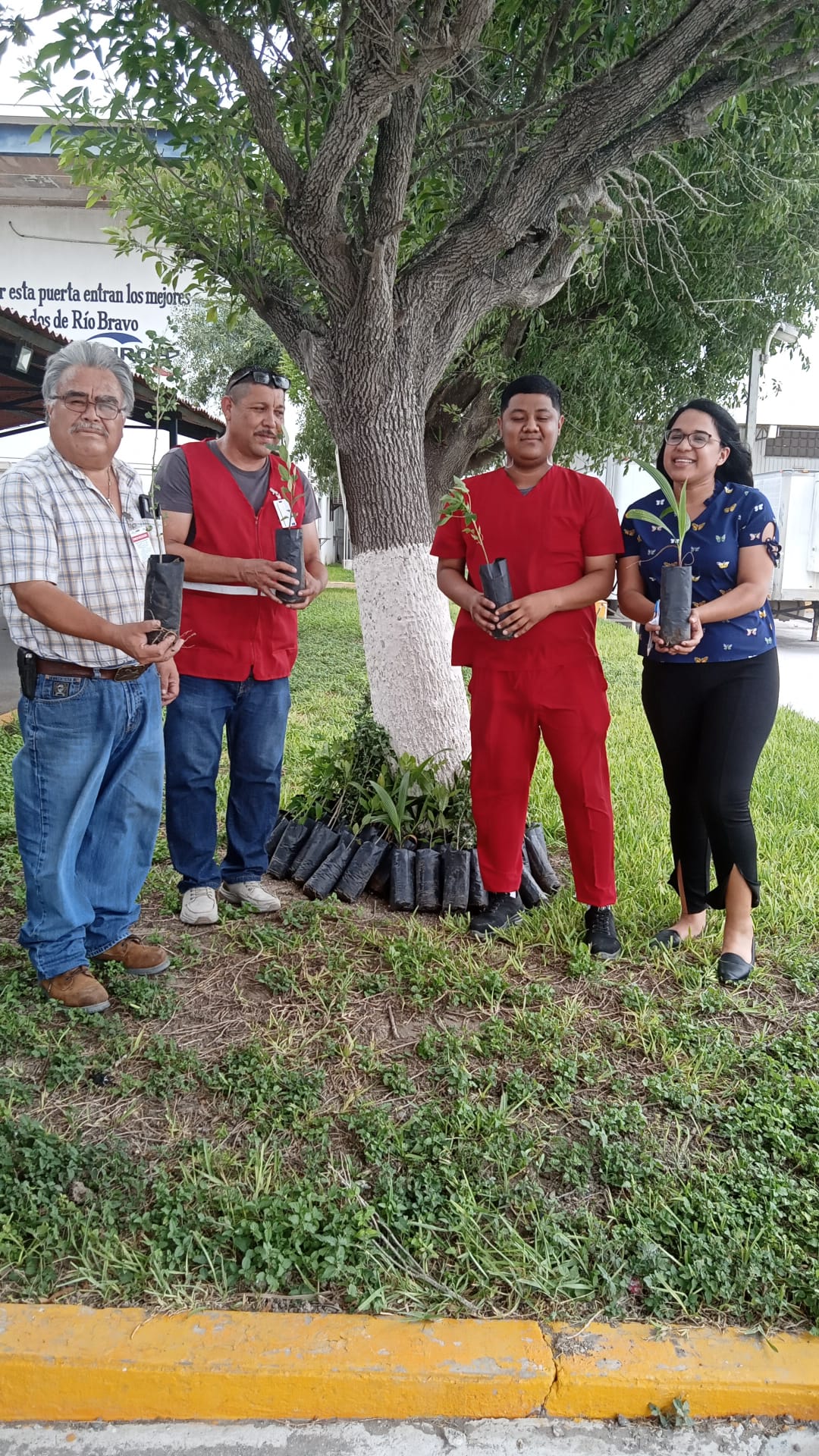 REFUERZA MUNICIPIO LA REFORESTACIÓN EN CENTROS DE TRABAJO PARA COMBATIR CALOR Y SEQUÍA
