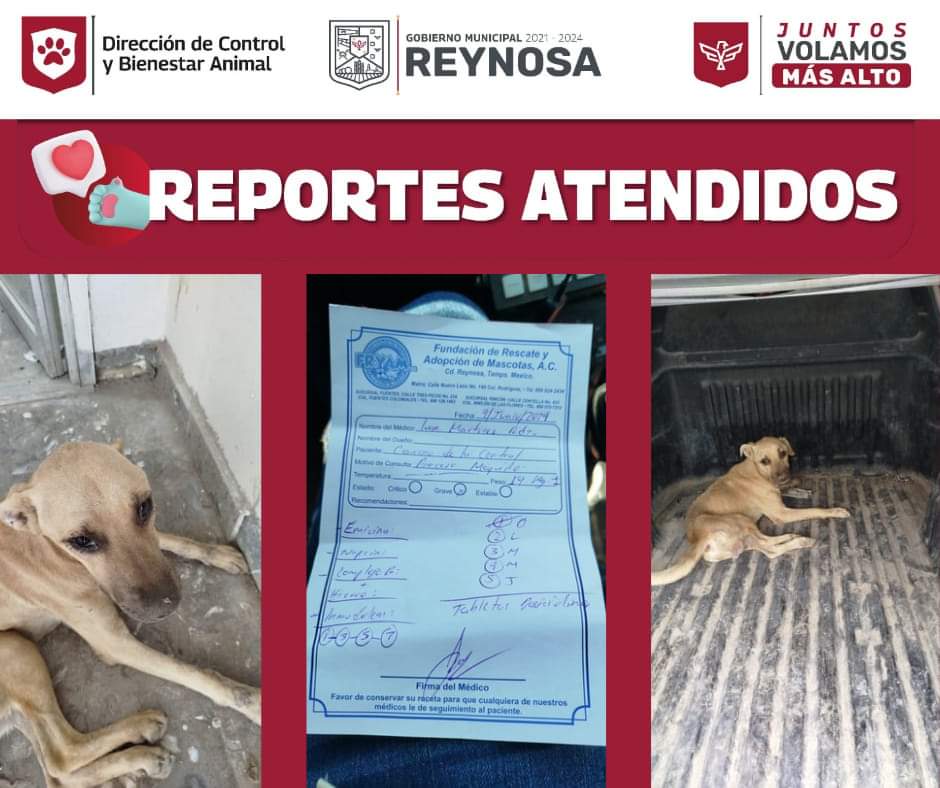 Privilegia Alcalde Carlos Peña Ortiz atención de denuncias ciudadanas